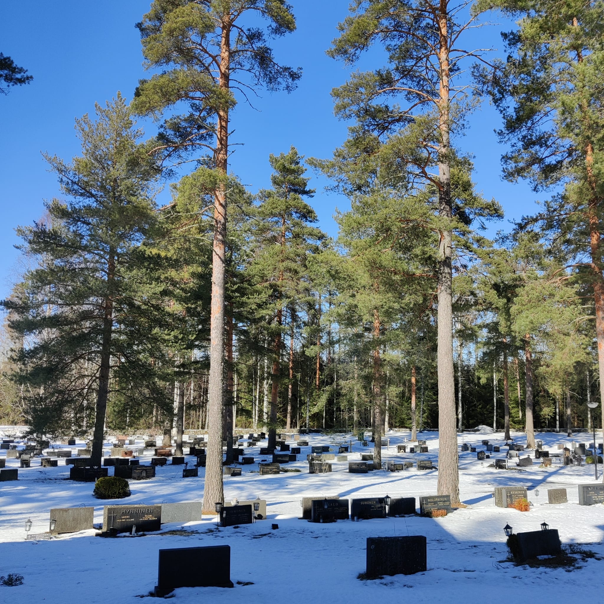 hautausmaa